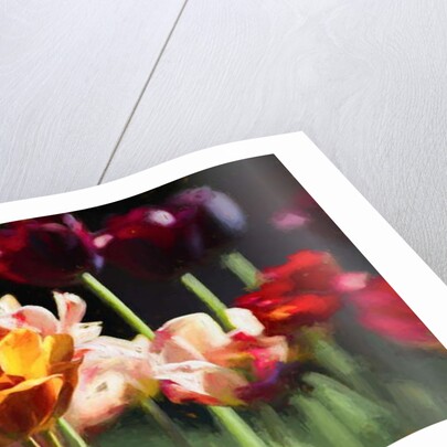 Tulip Field, 2018 by Helen White