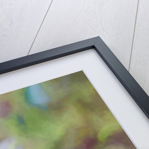 Under Wisteria, 2018 by Helen White