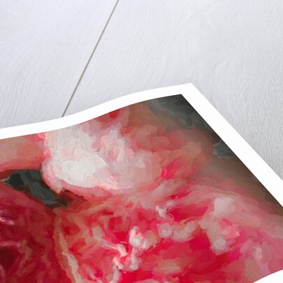 Pink Peonies, 2018 by Helen White