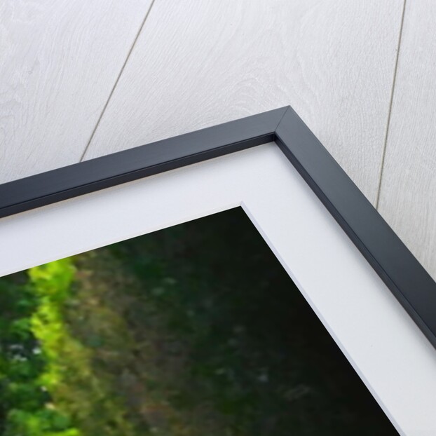 Secret Place, 2018 by Helen White