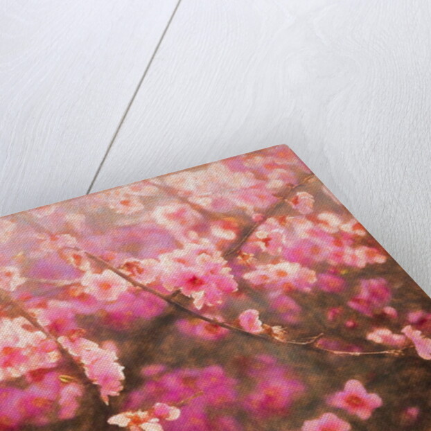 Spring Sprung; 2018 by Helen White