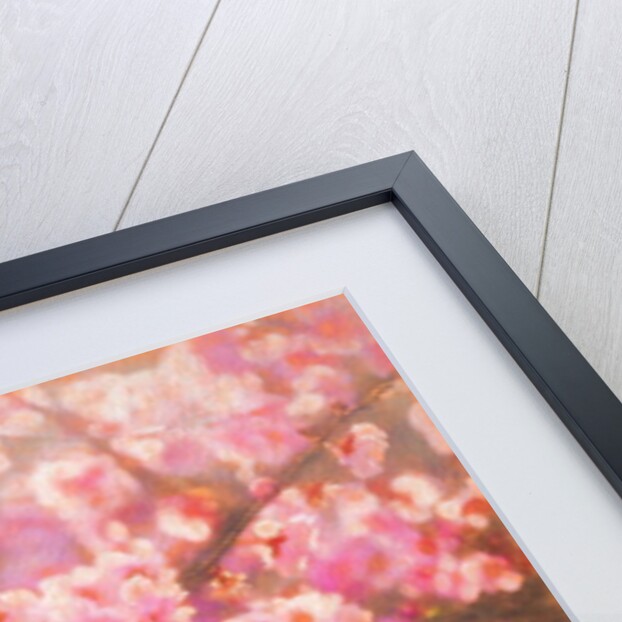 Spring Sprung; 2018 by Helen White