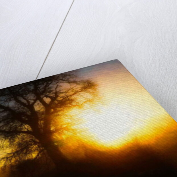 Molten Moment, 2018 by Helen White