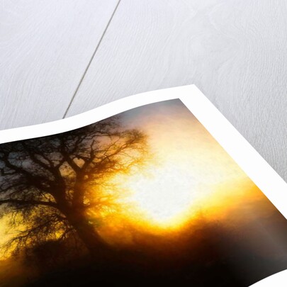 Molten Moment, 2018 by Helen White