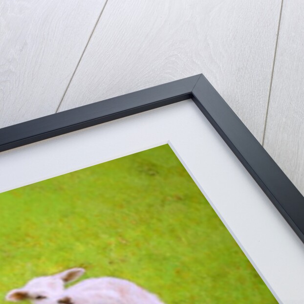 Scallywags, 2018 by Helen White