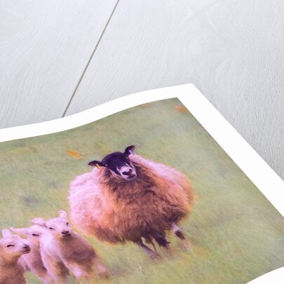 Triplets, 2018 by Helen White