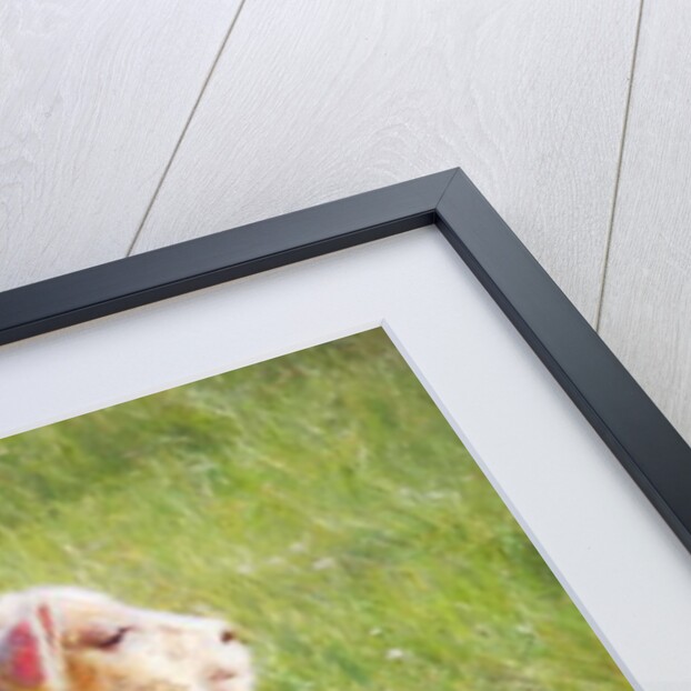 Twins, 2018 by Helen White