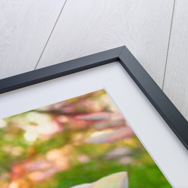 Magnolia, 2018 by Helen White