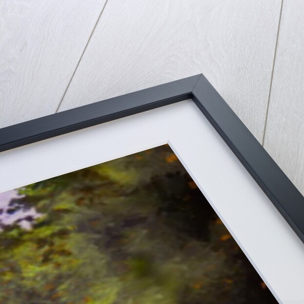 Newstead, 2019 by Helen White