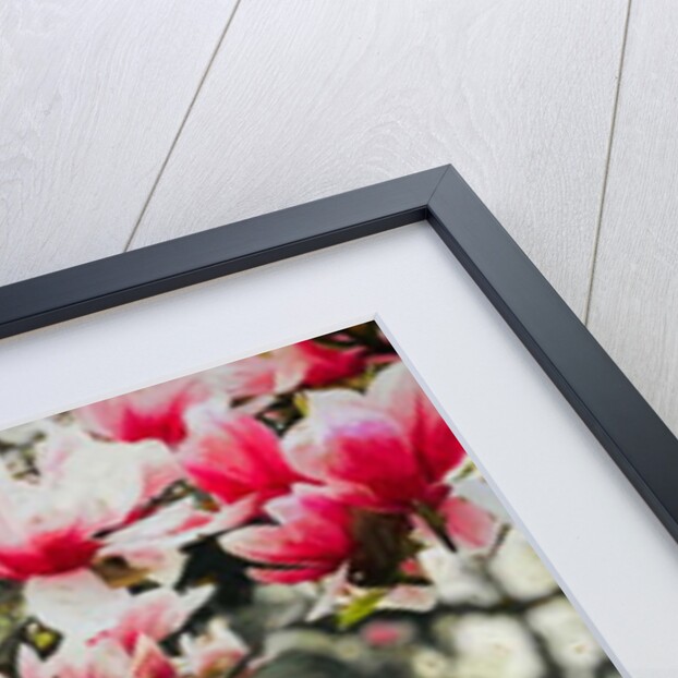 Blooming Magnolia, 2018 by Helen White