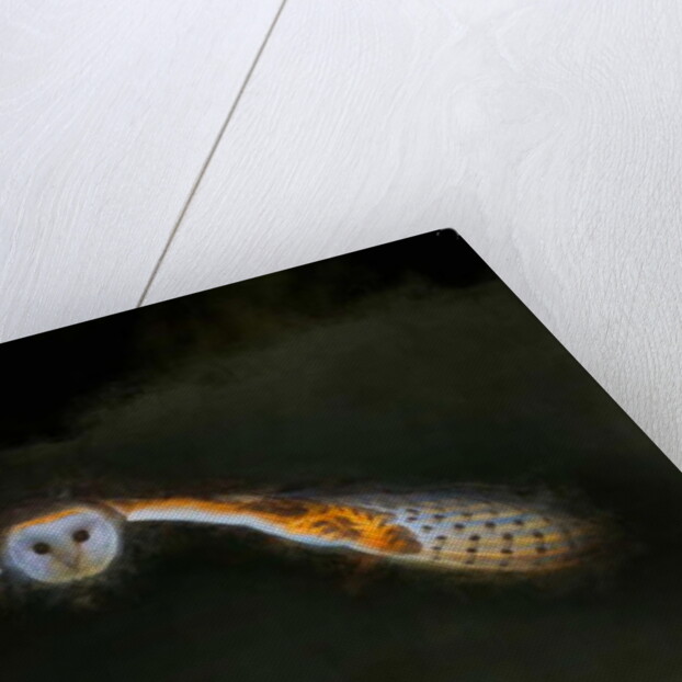 Night Flight, 2018 by Helen White