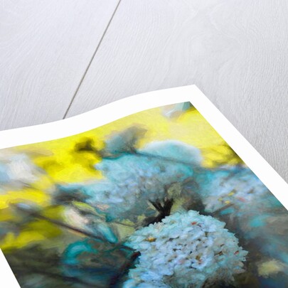 Blooming Maytime, 2019 by Helen White