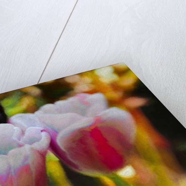 Lit Up Inside, 2019, by Helen White