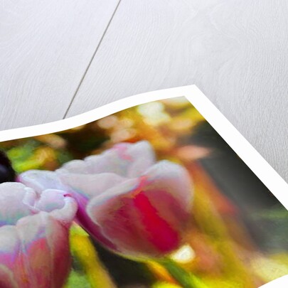 Lit Up Inside, 2019, by Helen White