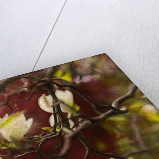 Magnolia, 2018 by Helen White