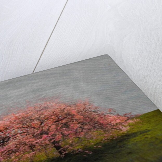 Stand Alone Beauty, 2019 by Helen White