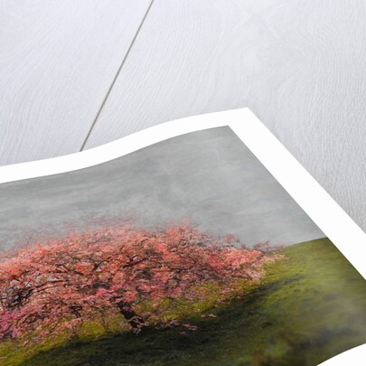 Stand Alone Beauty, 2019 by Helen White