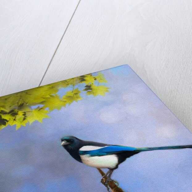 Balance Keeper, 2019 by Helen White