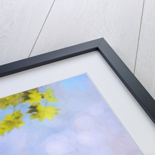 Balance Keeper, 2019 by Helen White