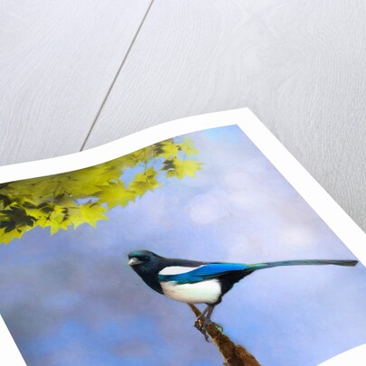 Balance Keeper, 2019 by Helen White