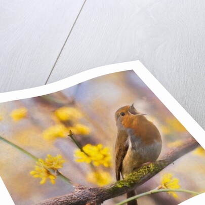 Divine Messenger, 2019 by Helen White