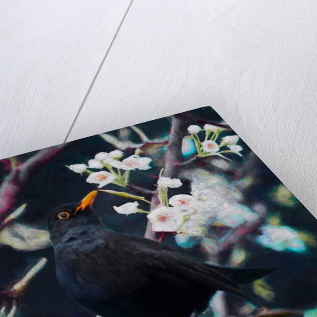 Lord of the Summer Song, 2019 by Helen White