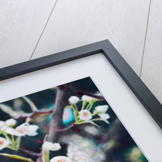 Lord of the Summer Song, 2019 by Helen White