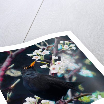 Lord of the Summer Song, 2019 by Helen White