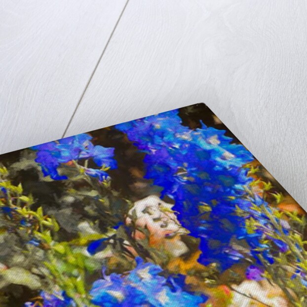 Blue Delphiniums, 2019 by Helen White