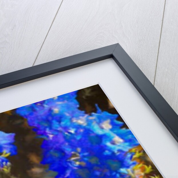 Blue Delphiniums, 2019 by Helen White