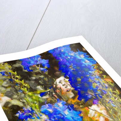 Blue Delphiniums, 2019 by Helen White