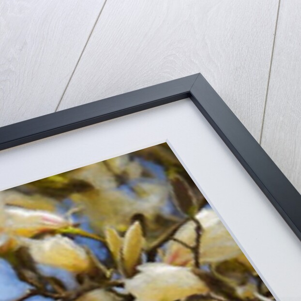 Blue Sky Magnolia, 2019 by Helen White