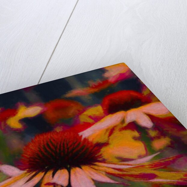 Daisy Daisy, 2019 by Helen White