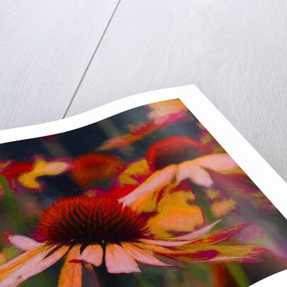 Daisy Daisy, 2019 by Helen White