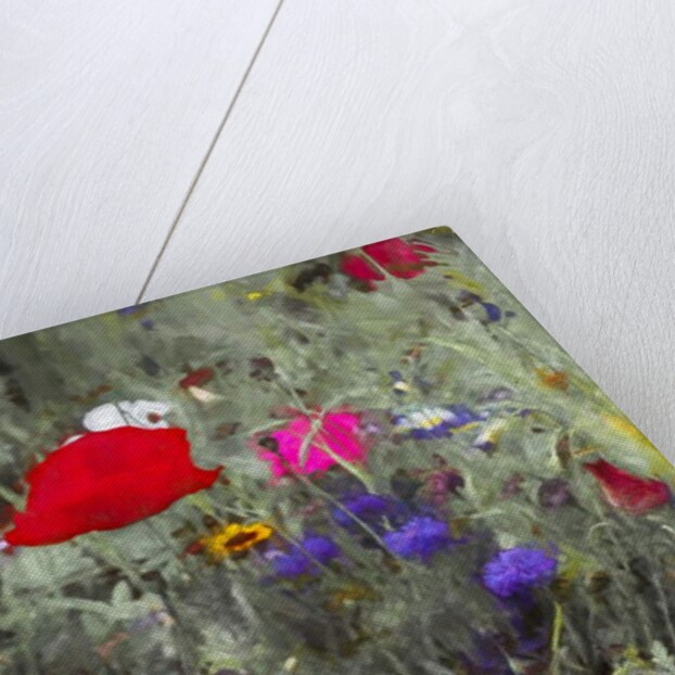 Wild, 2019 by Helen White