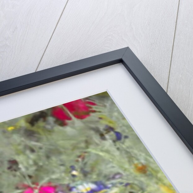 Wild, 2019 by Helen White