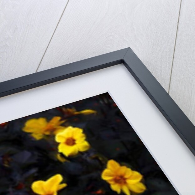 Yellow Velvet, 2019 by Helen White