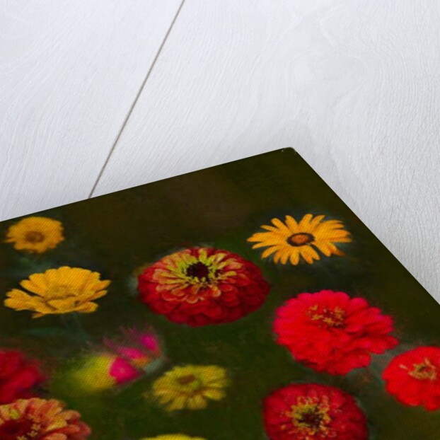 Outstanding Beauty, 2019 by Helen White