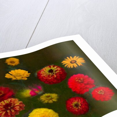 Outstanding Beauty, 2019 by Helen White