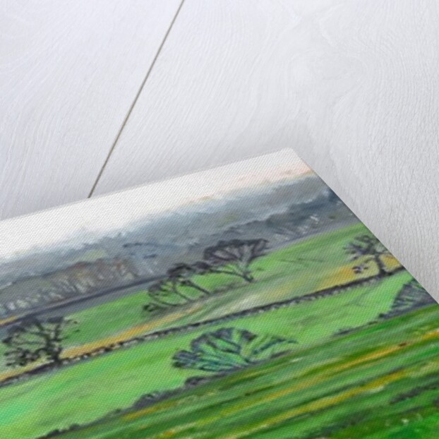 From the Top of Farley Hill, 2008 by Helen White