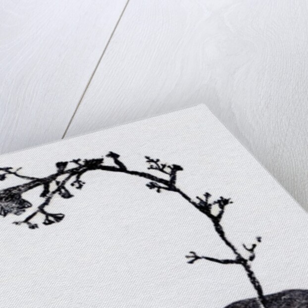 Lichen Leaf, 2014 by Bella Larsson