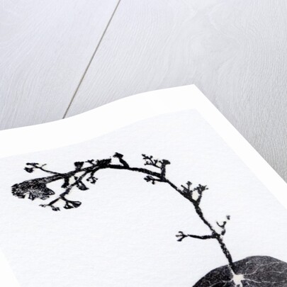 Lichen Leaf, 2014 by Bella Larsson