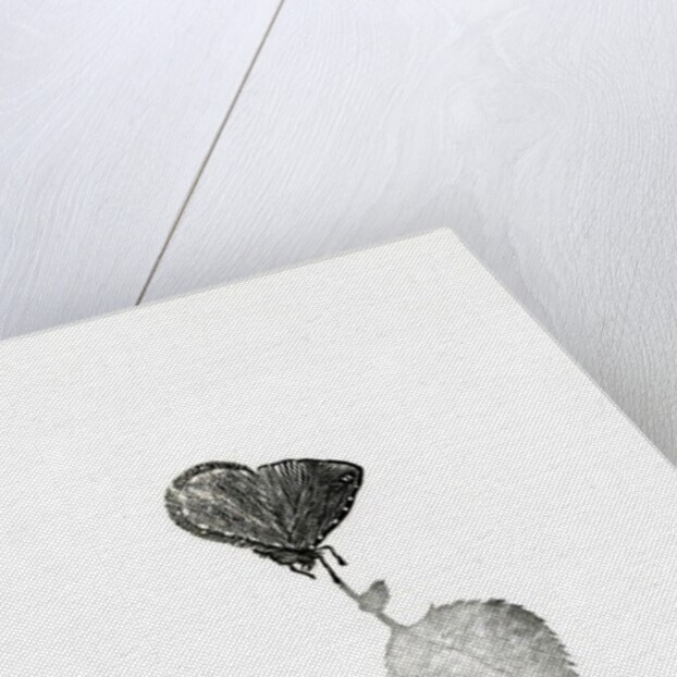 Suspense, 2014, by Bella Larsson