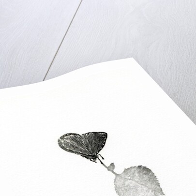 Suspense, 2014, by Bella Larsson