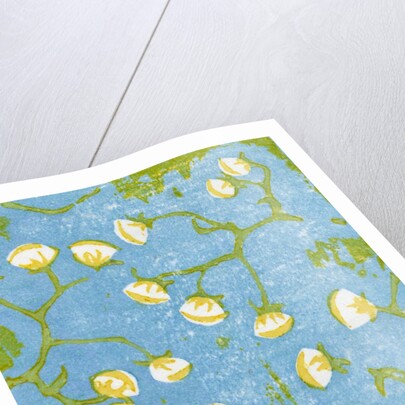 Fluffy Seedheads, 2012 by Bella Larsson