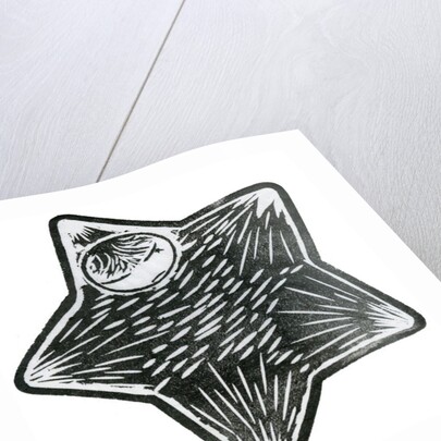 Star Child, 2013 by Bella Larsson