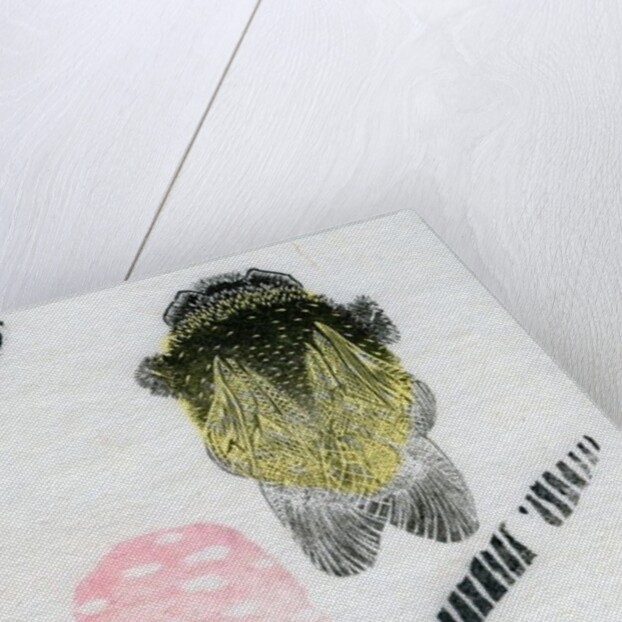 Atomic Bumblebee, 2013 by Bella Larsson