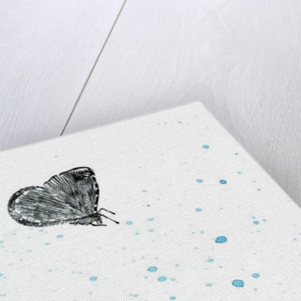 Moth {Fay-erie Dust}, 2014 by Bella Larsson