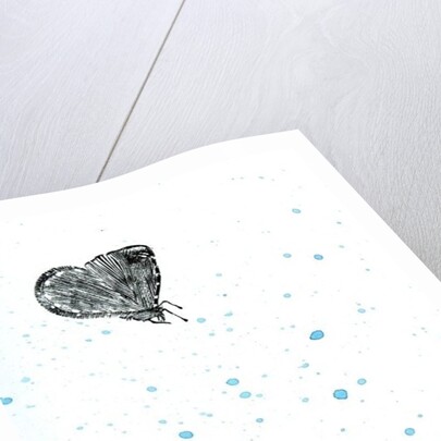 Moth {Fay-erie Dust}, 2014 by Bella Larsson