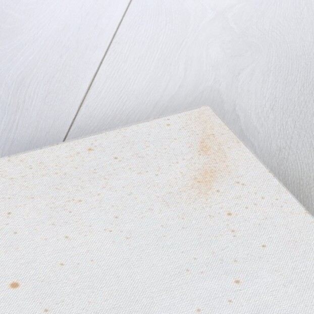 Tooth {Fay-erie Dust}, 2014 by Bella Larsson